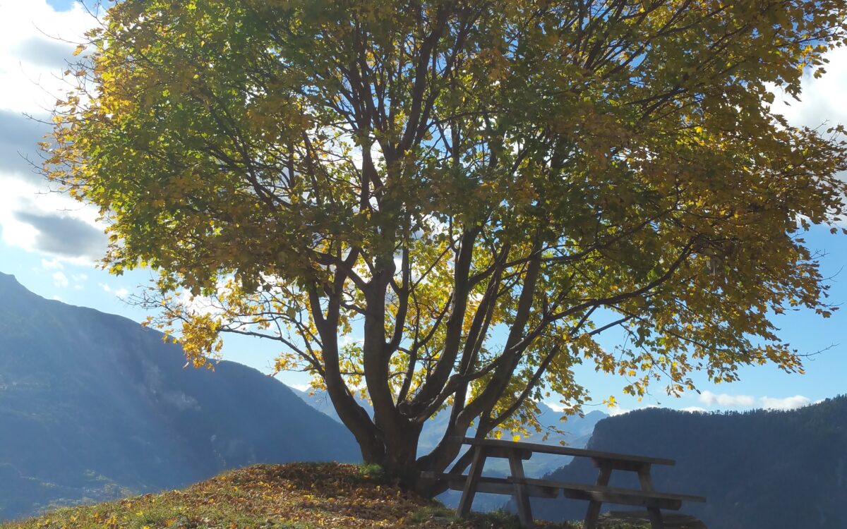 Savoie – Saint Michel de Maurienne