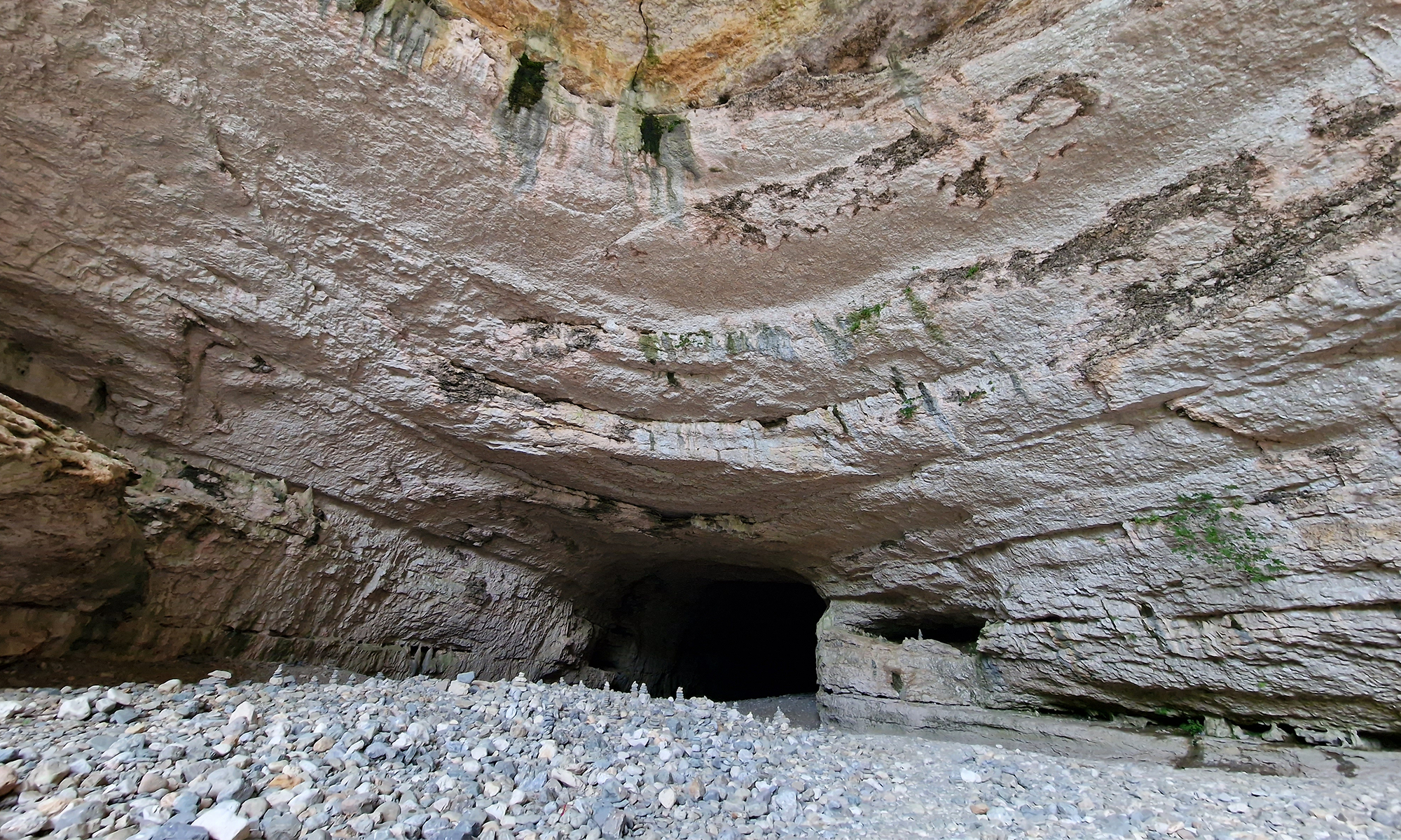 Minerve citée cathare