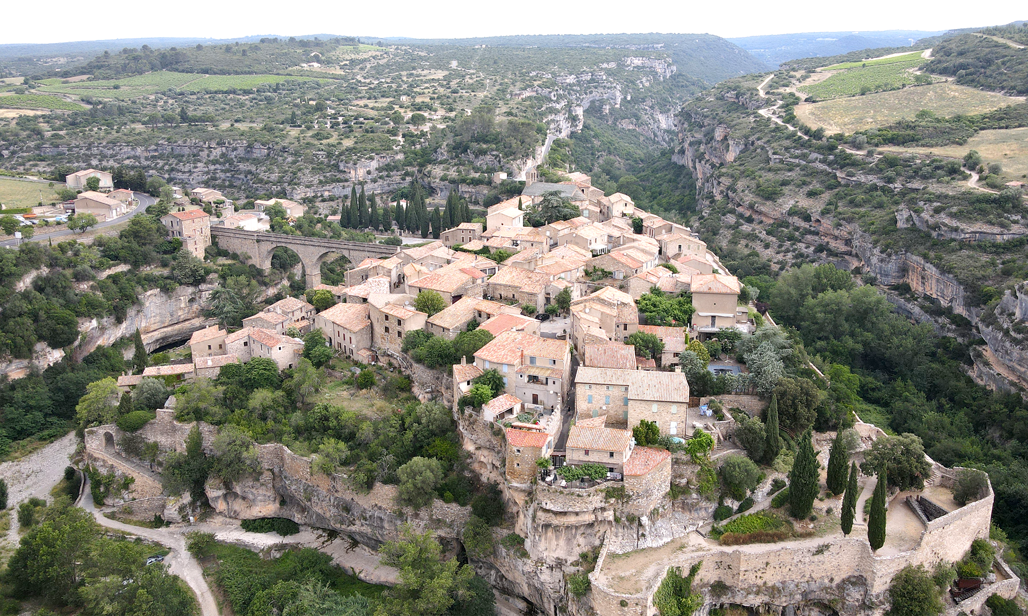 Minerve citée cathare