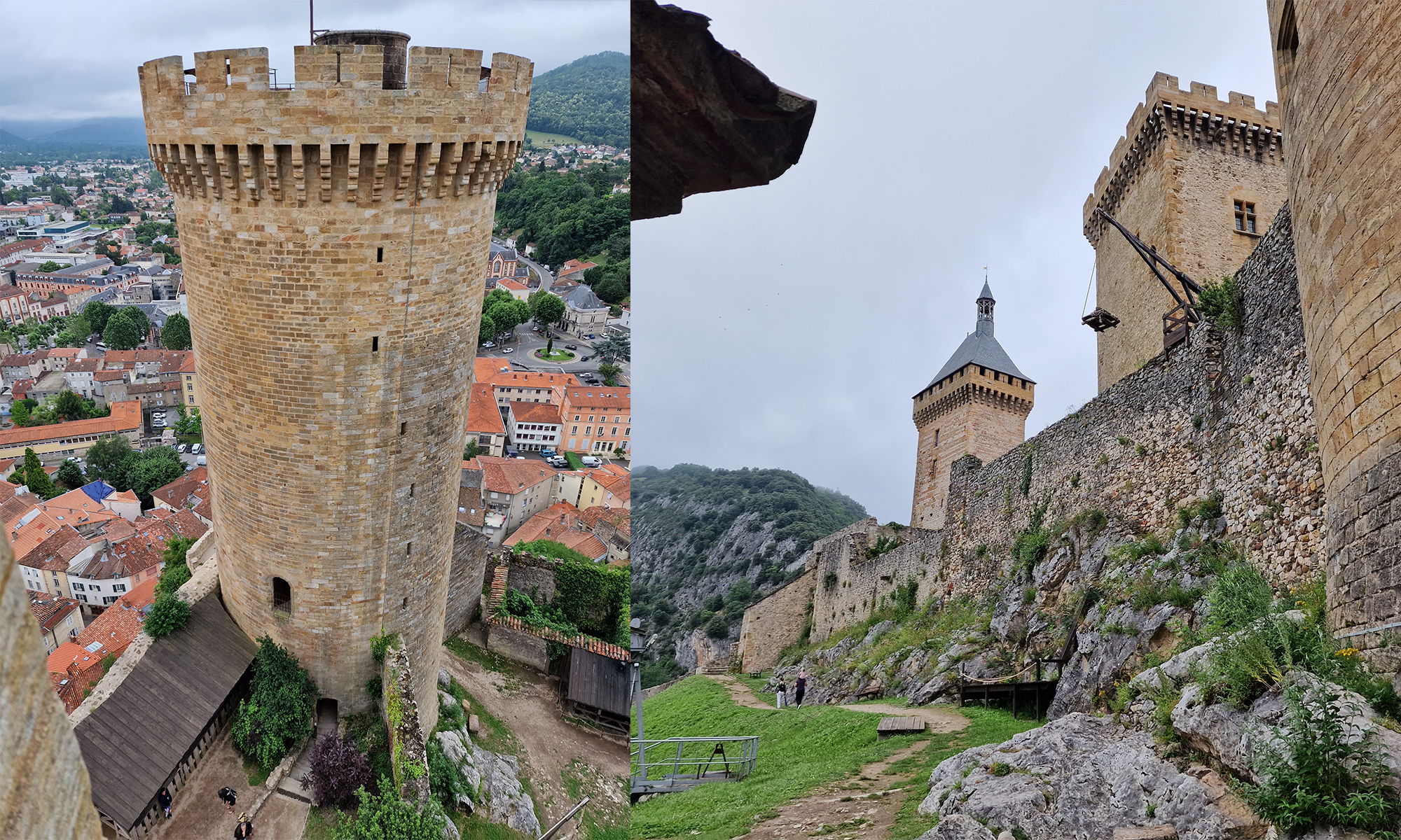 FOIX3