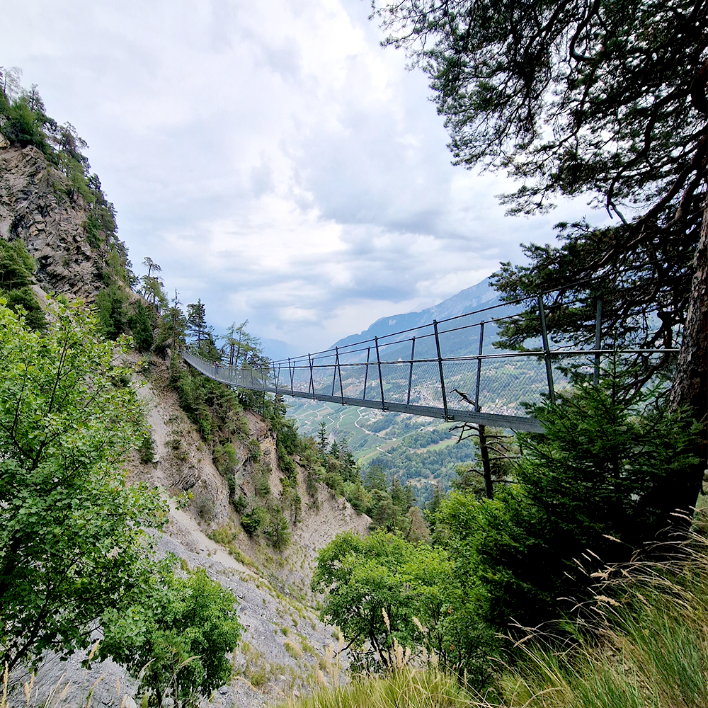 BISSE DE SAVIESE