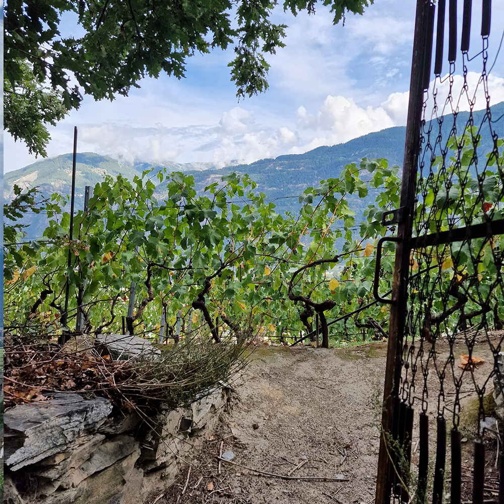 village de seillon et leytron
