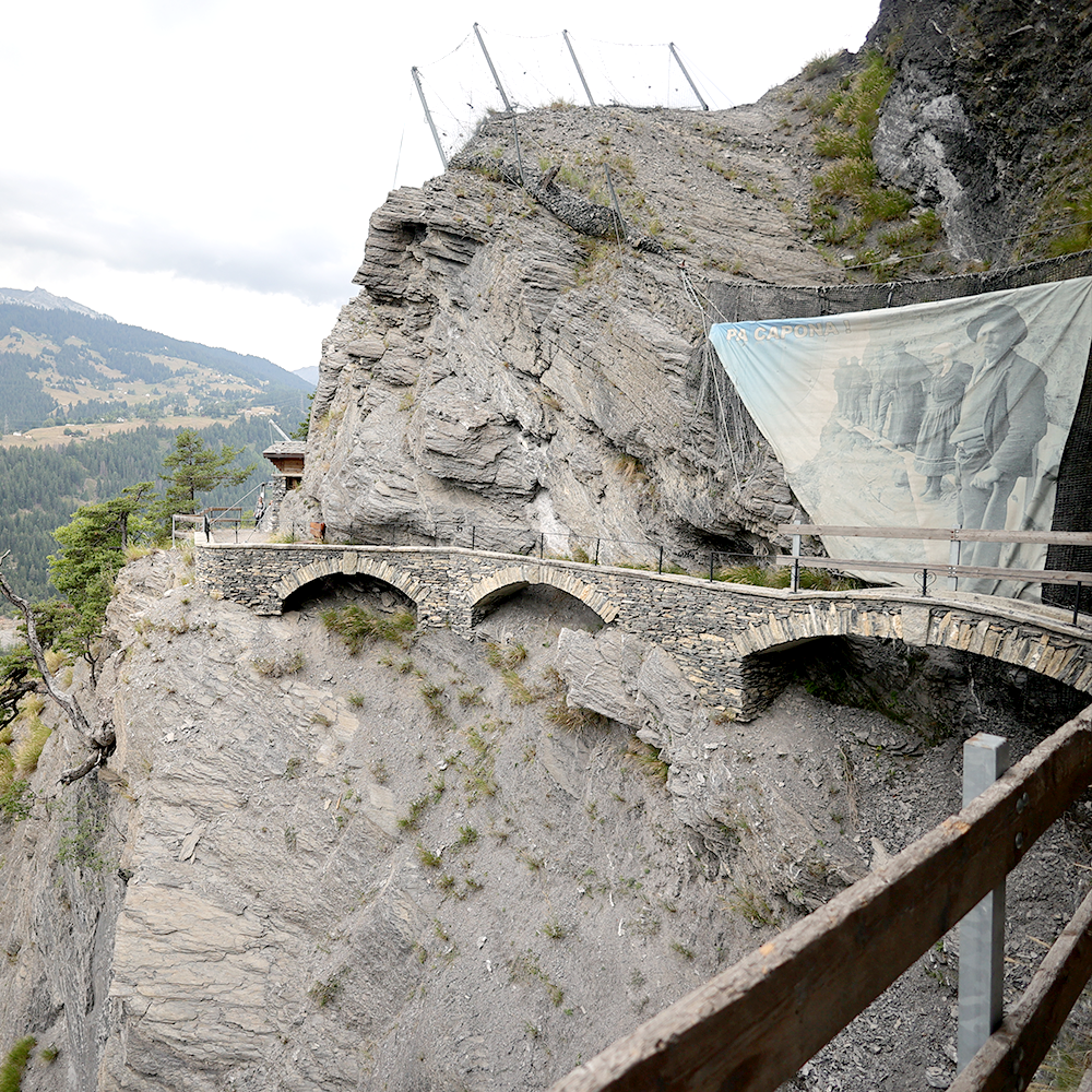 BISSE DE SAVIESE