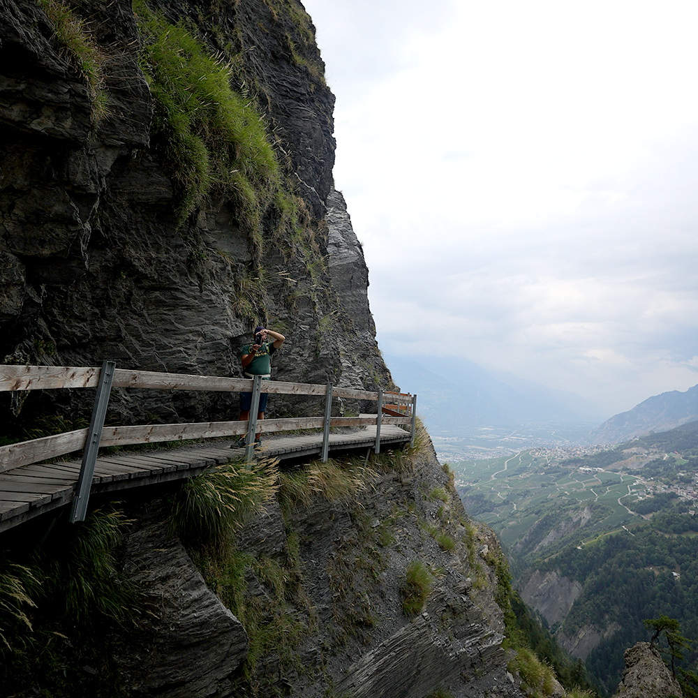 BISSE DE SAVIESE