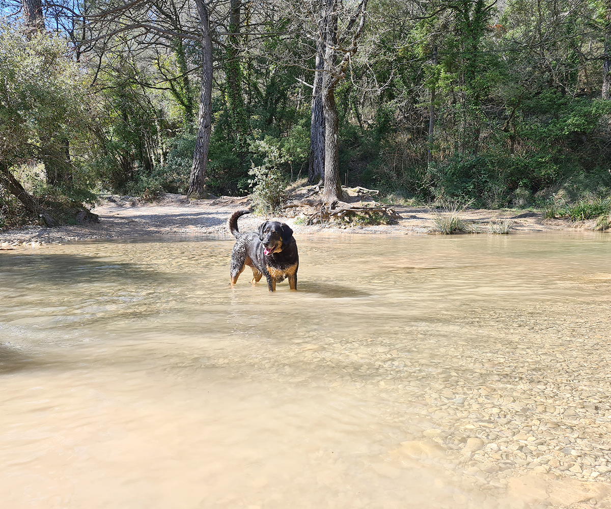 Cascade du Latay avec son chien