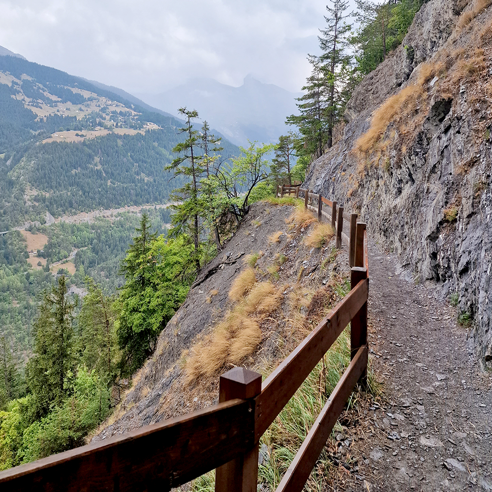 BISSE DE SAVIESE