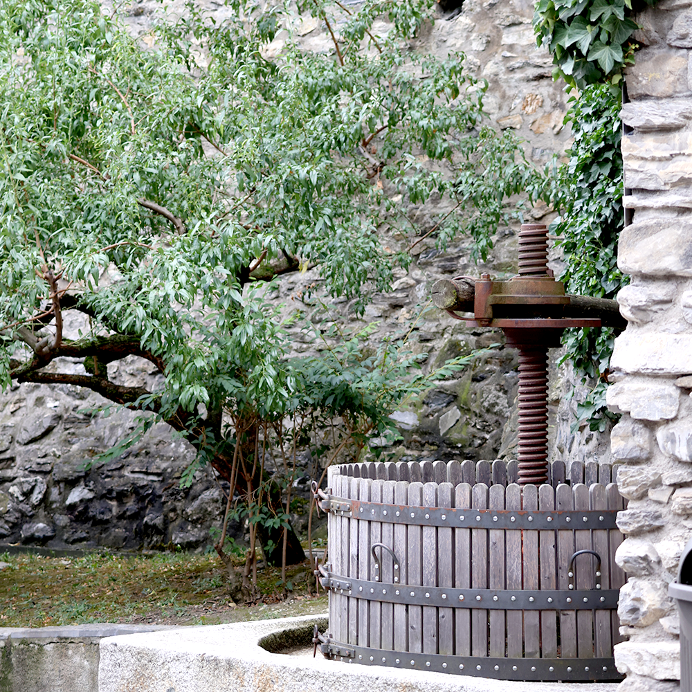 village de seillon et leytron