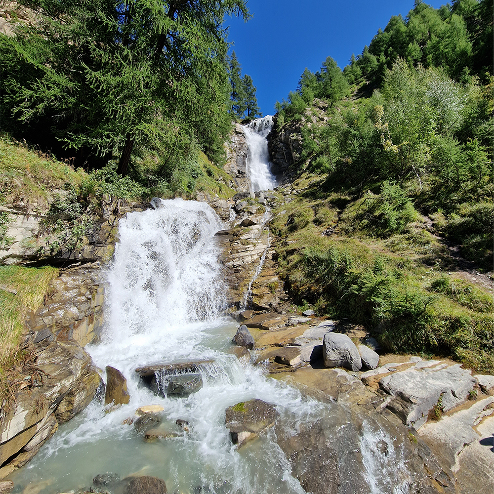 VASAVERENCHE (3)