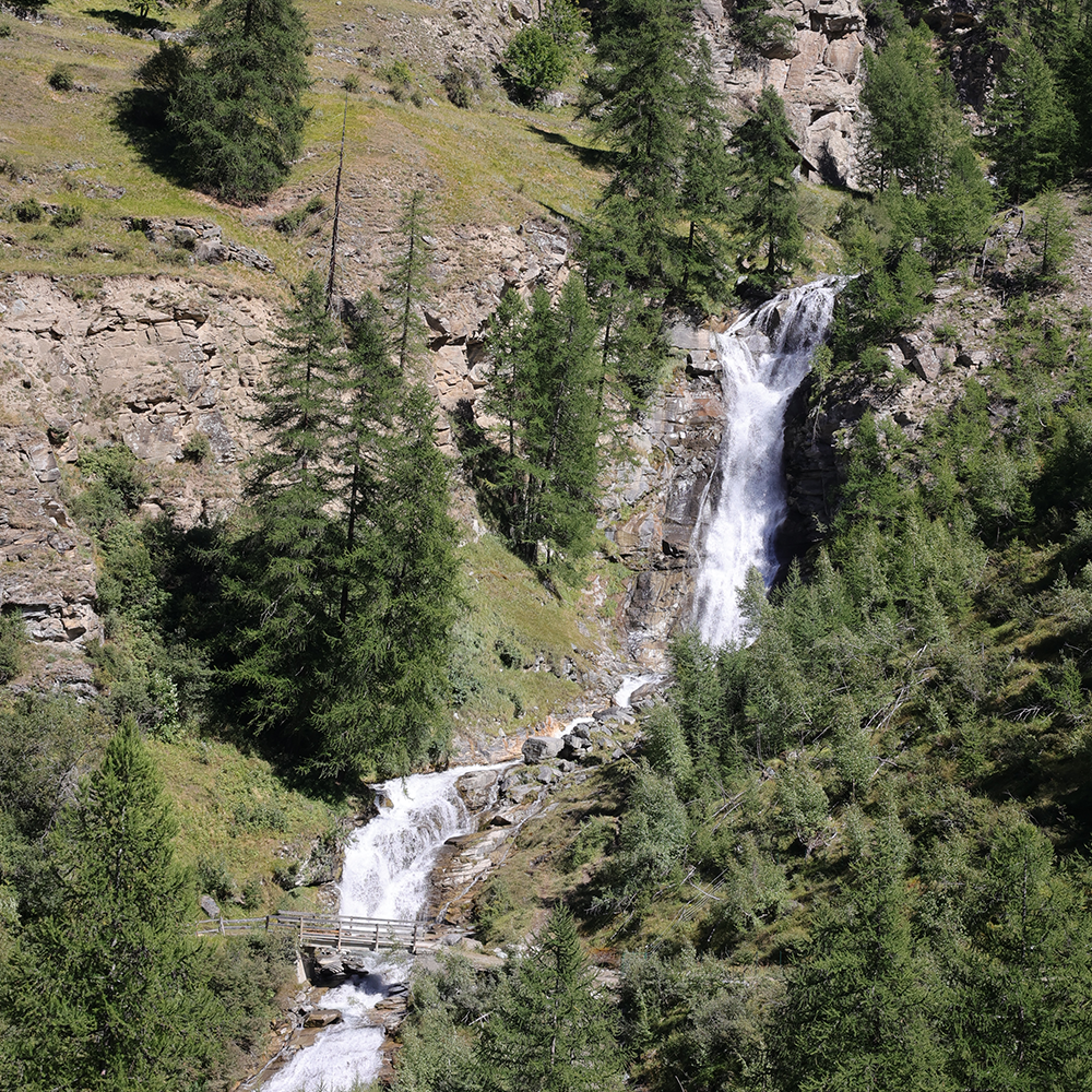 VASAVERENCHE (5)