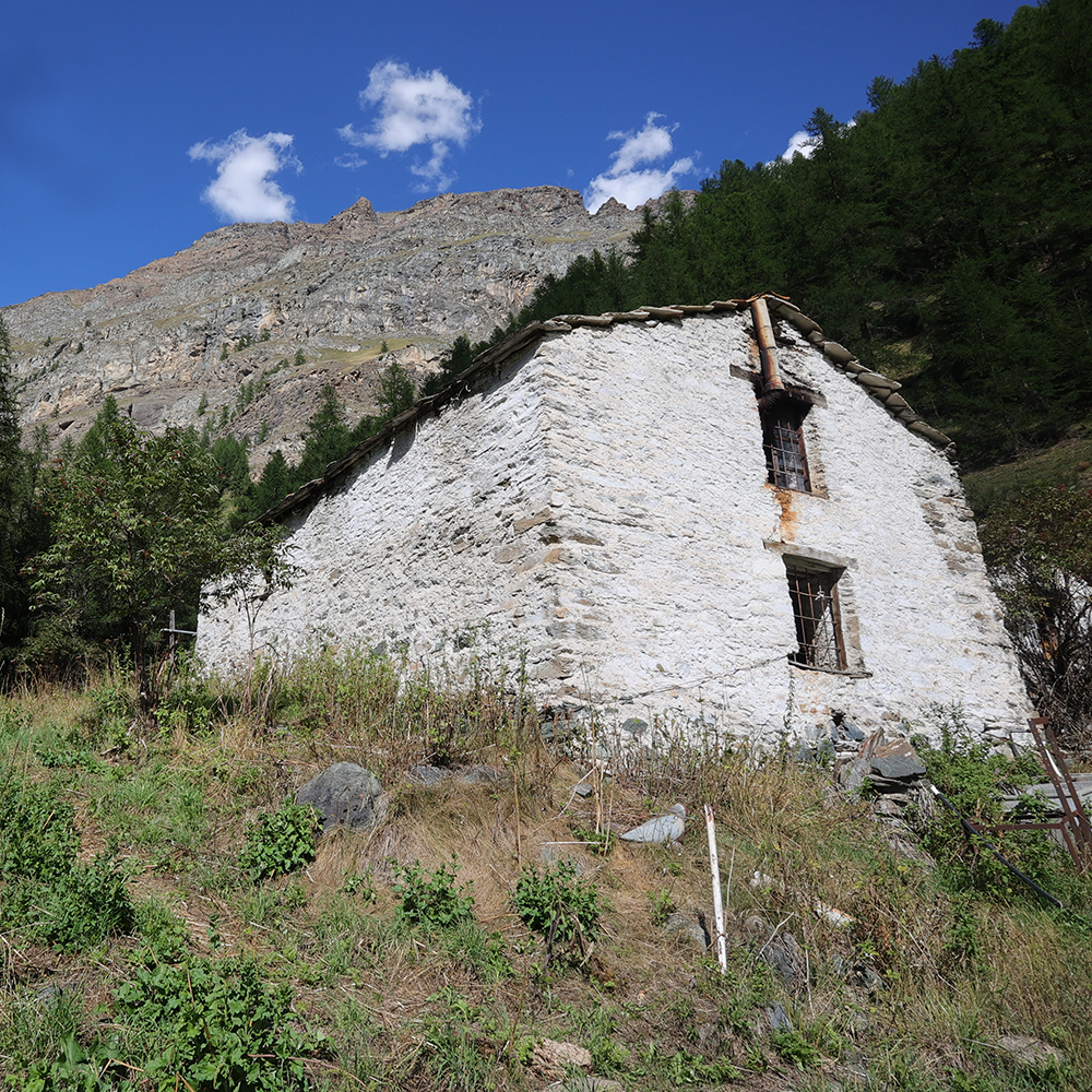 VASAVERENCHE (6)