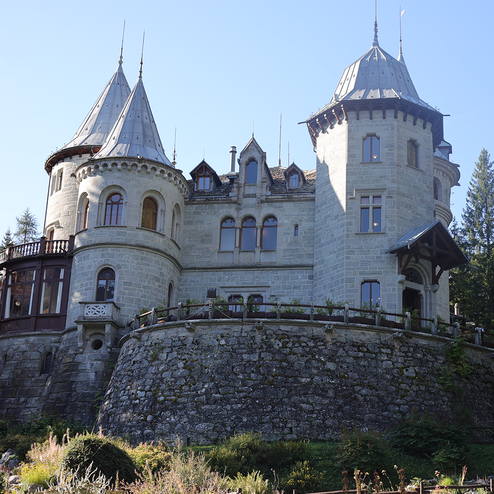 chateau savoie (1)