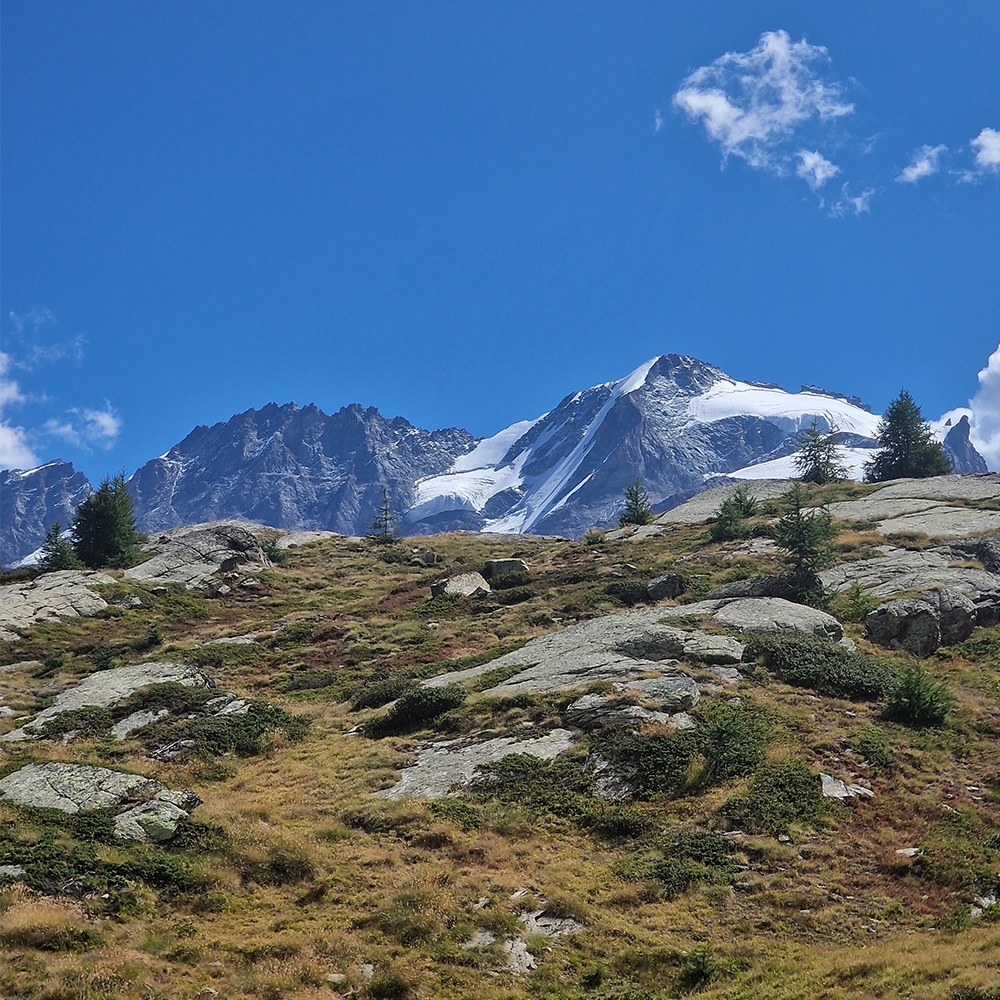 grand paradis rando (4)