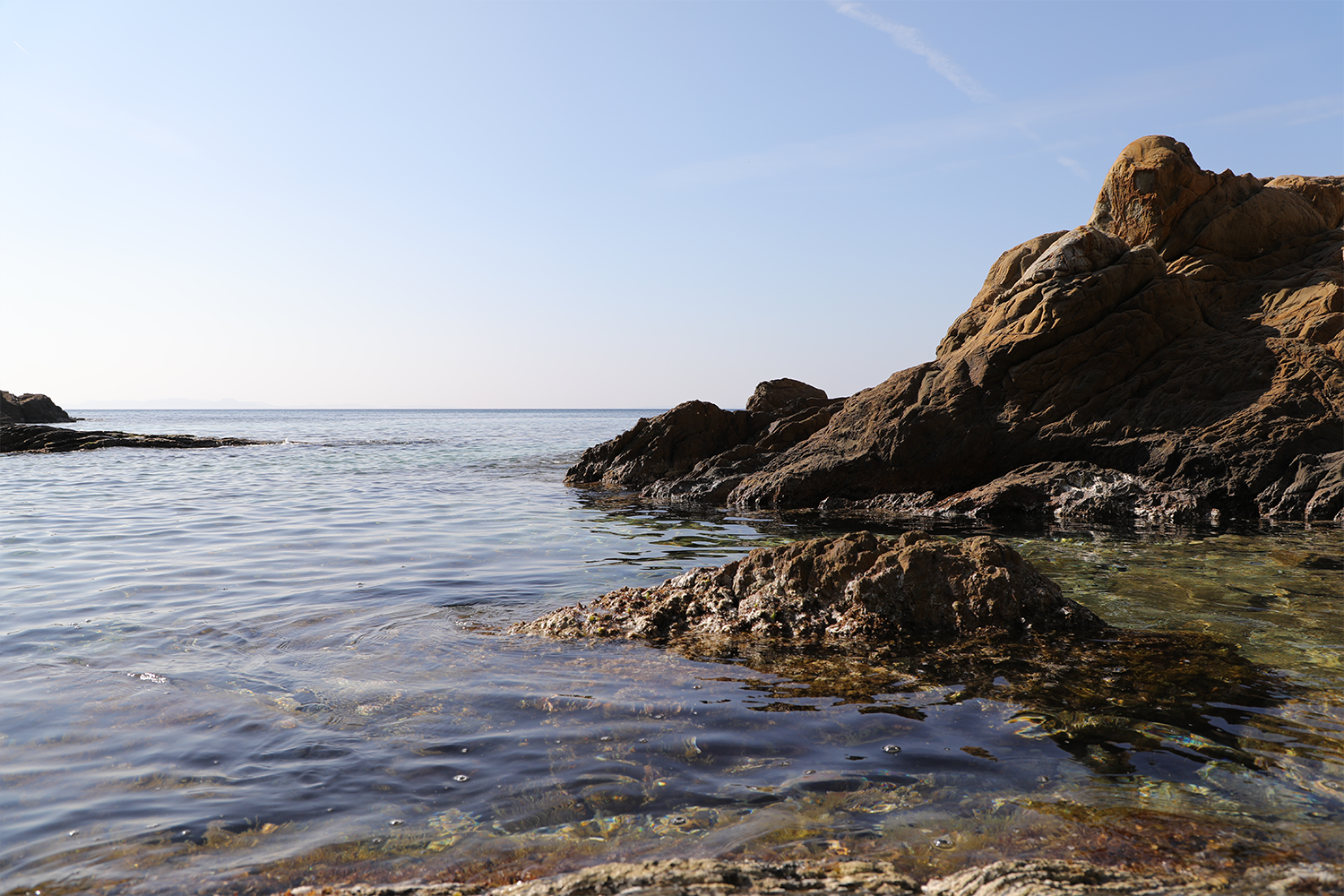 PLAGE DE l'estagnol avec son chien