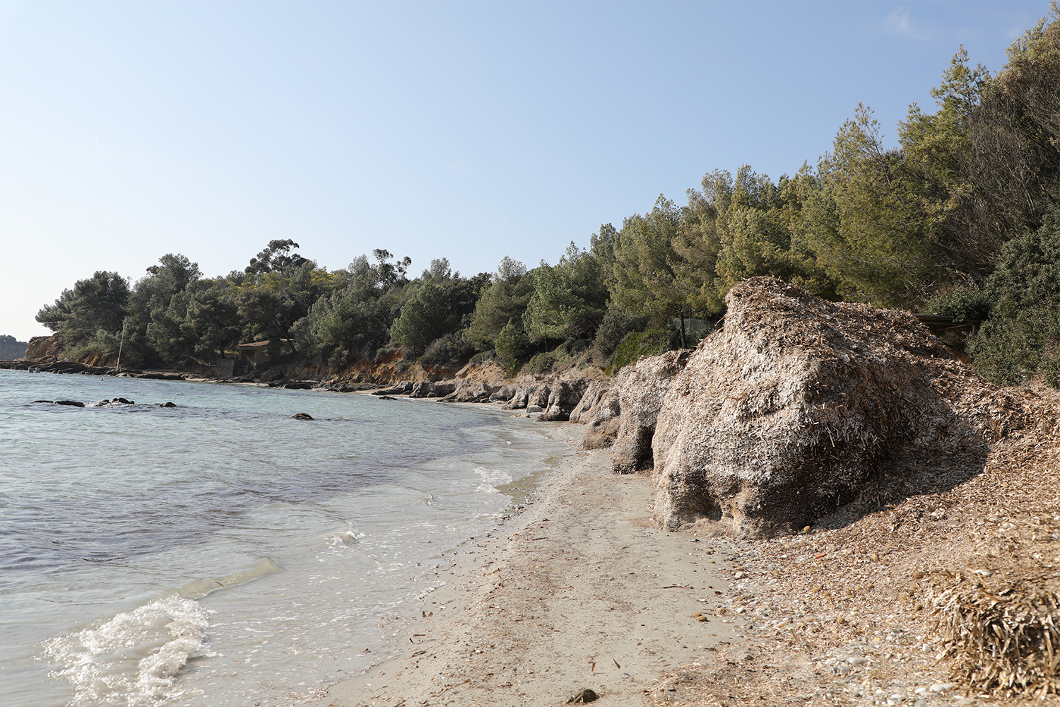 PLAGE DE l'estagnol avec son chien3