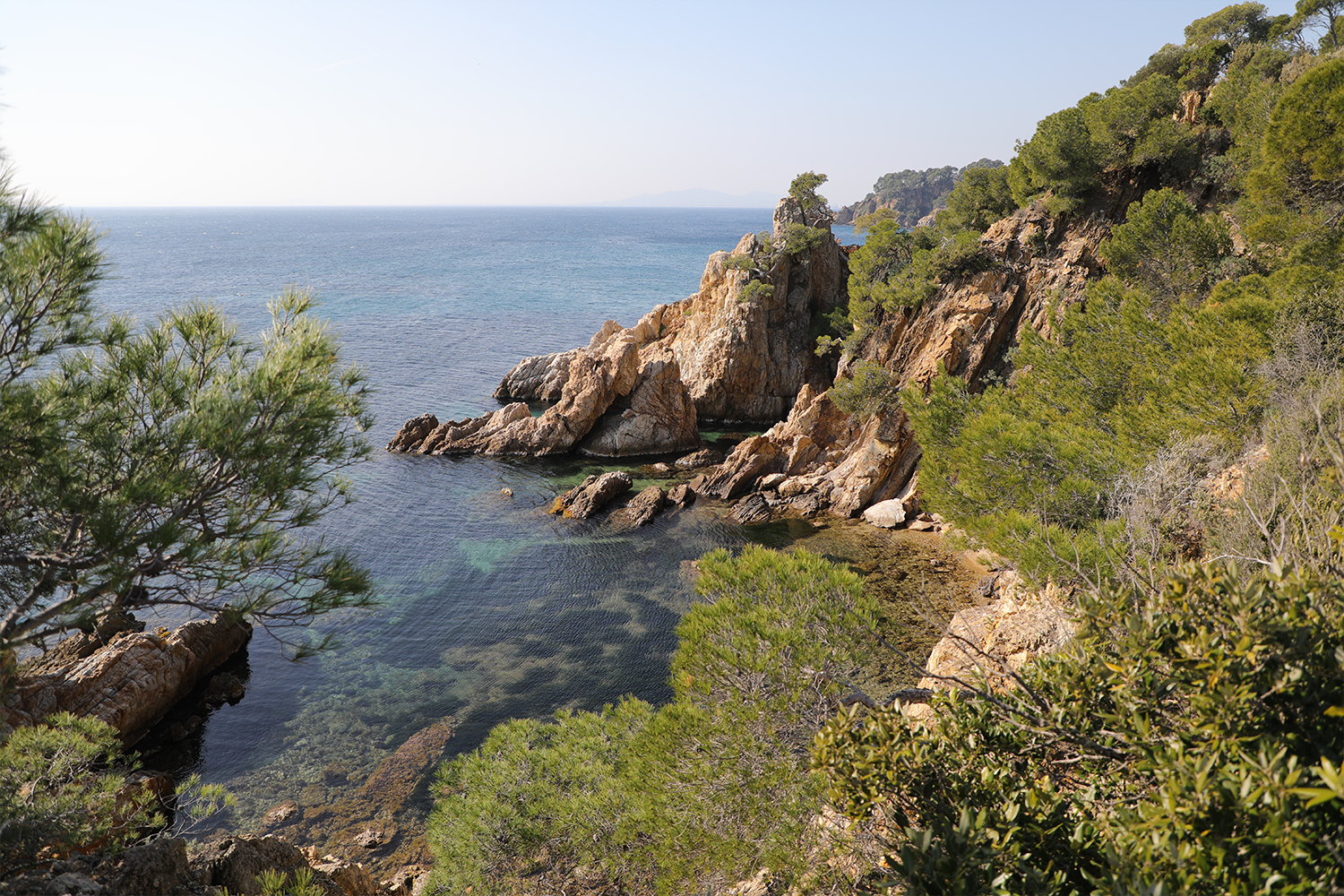 PLAGE DE l'estagnol avec son chien4