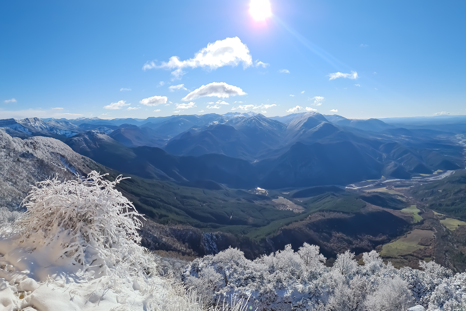 rando chien cousson vue 360
