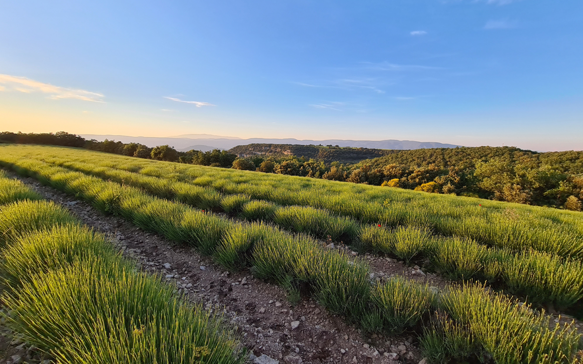 Road Trip Luberon en Van : Itinéraire de 5 jours hors saison