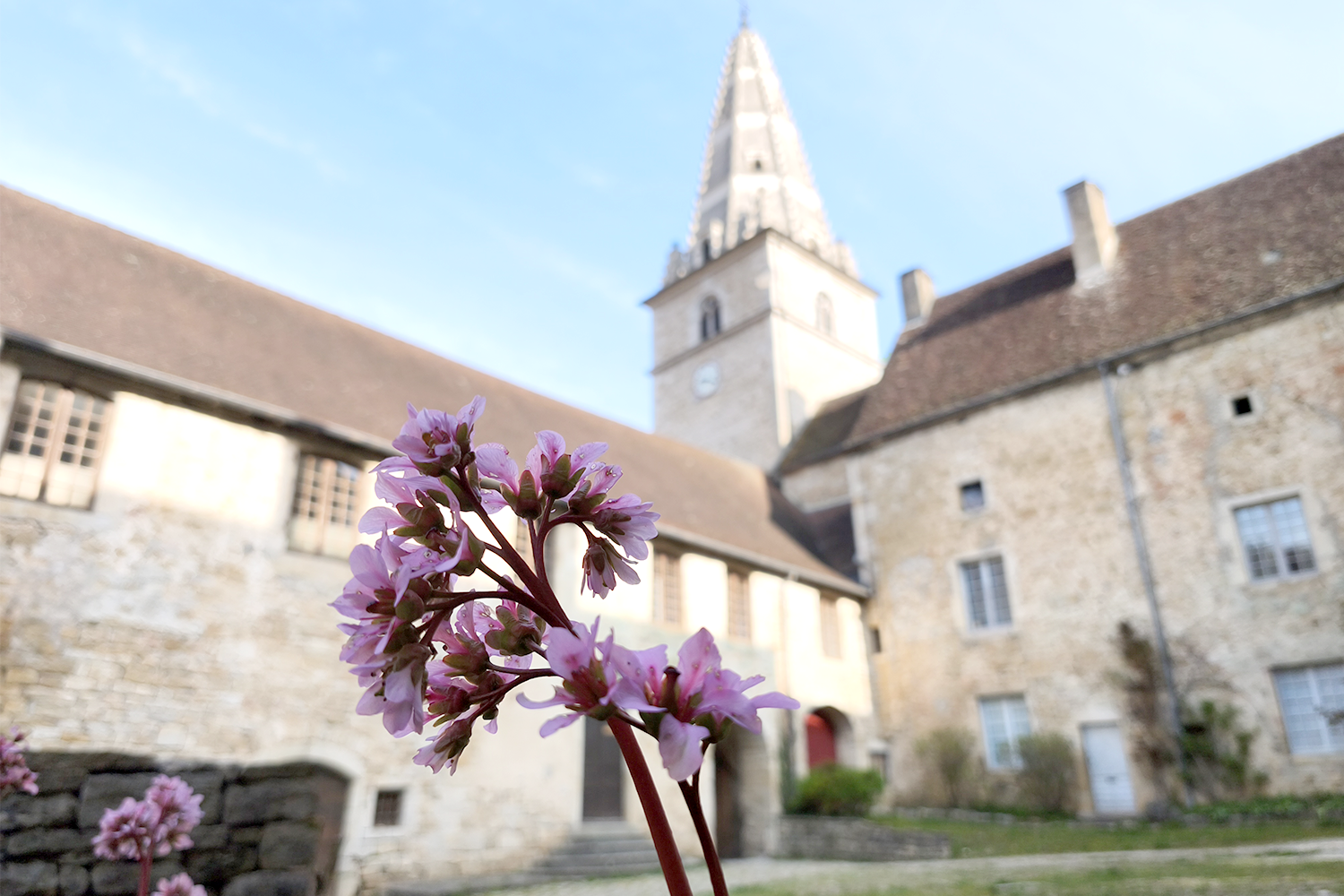 ABBAYE BAUME LES MESSIEURS COUR INTERIEURE