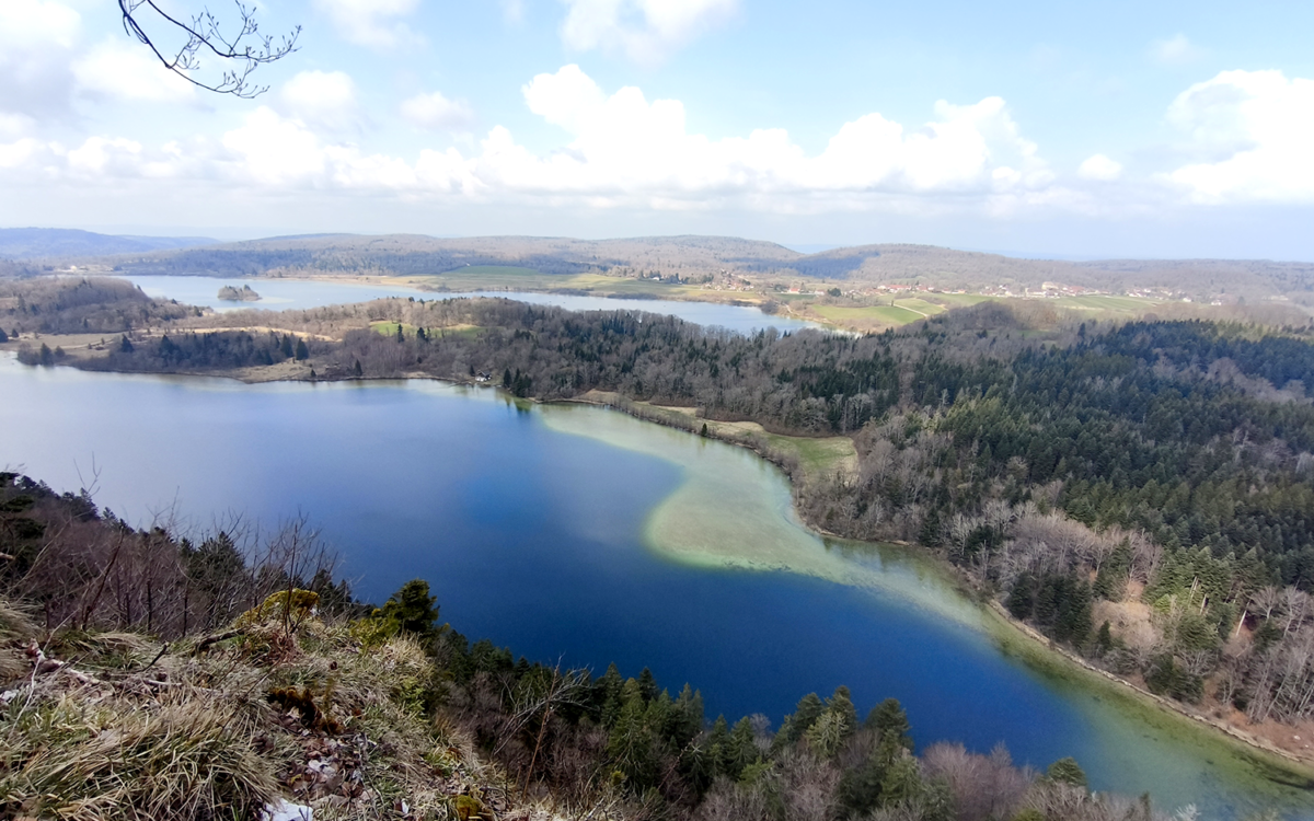 Randonnée avec son chien : le Belvédère des 4 Lacs dans le Jura