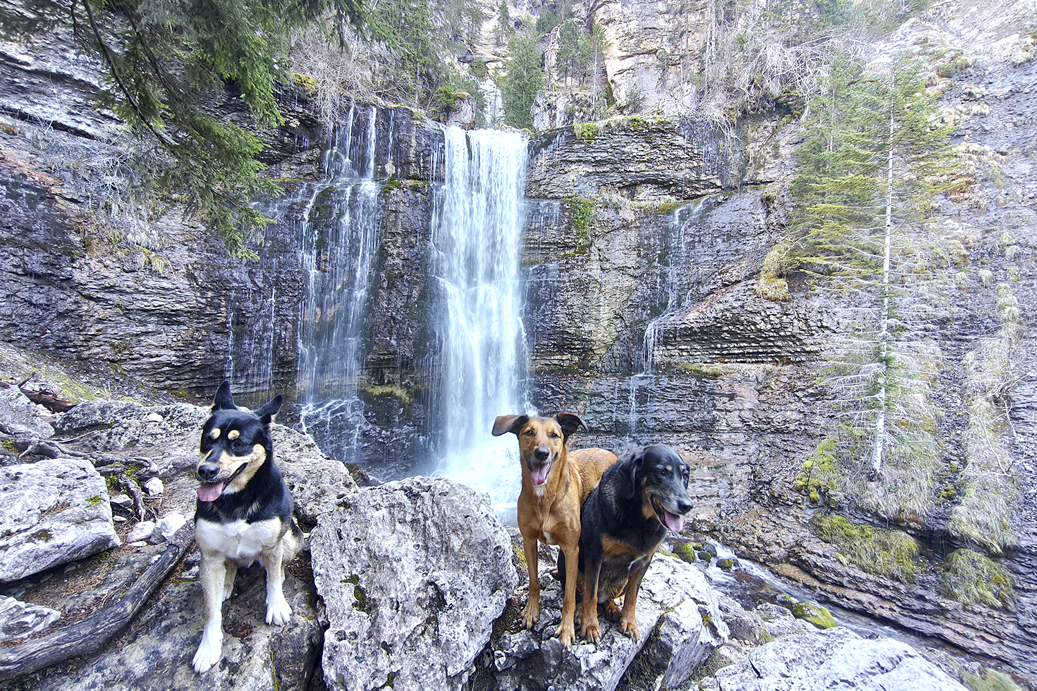 CIRQUE DE ST MEME GRANDE CASCADE AVEC MES CHIENS