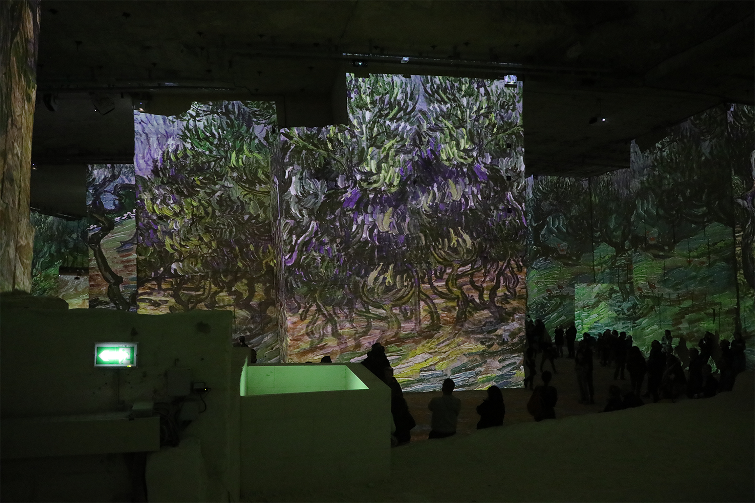 LES CARRIERES DE LUMIERES VAN GOGH 2