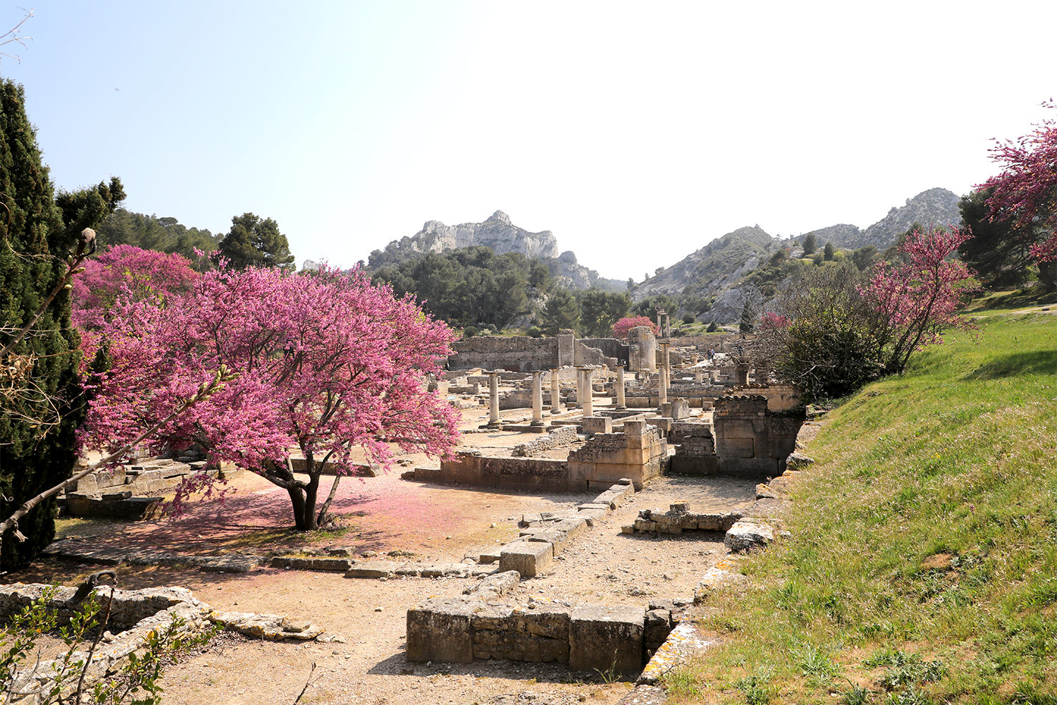 RUINES DE GLANUM PLAN LARGE