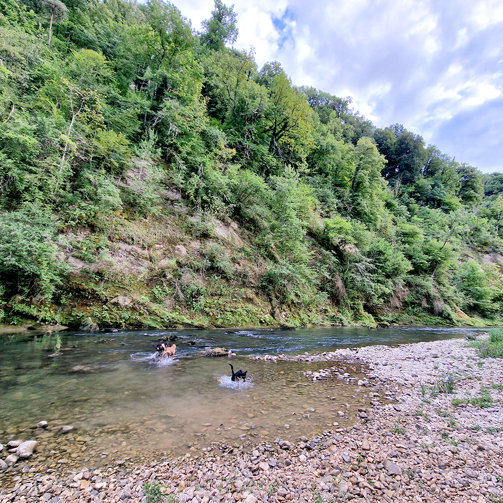 SPOT AU BORD RIVERE VERCORS